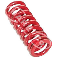 Clutch Spring