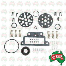 Hydraulic Pump Repair Kit - Minor