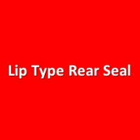 Lip Type Rear Seal (13)