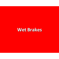 Wet Brakes (14)