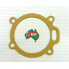 Water Pump Gasket for Massey Ferguson