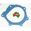 Water Pump Gasket for David Brown 995 996