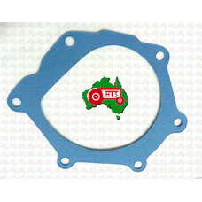 Water Pump Gasket for David Brown 995 996