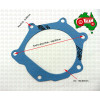 Water Pump Gasket for David Brown 995 996