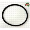 Cav-Lower Deep Filter Base O"Ring 