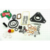 Delphi Injector Pump Overhaul Kit 