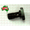 Banjo Bolt Pipe to Filter