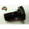 Banjo Bolt Pipe to Filter
