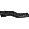  Radiator Top Hose