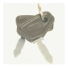 Pair Ignition Keys