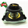 Radiator Cap