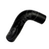 Top Rad Hose