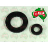 CAV Fuel Filter Rubber Washer Kit