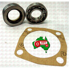 TE20 Rear PTO Seal and Bearing Kit with Leather Seal