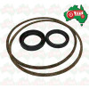 Epicyclic Seal and Gasket Kit Massey Ferguson