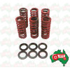 Clutch Pressure Spring Set Massey Ferguson