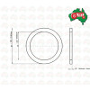 International 2x Oil Seal 