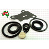 O'Ring Kit Cylinder Ram Massey Ferguson