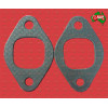 Exhaust Manifold & 2x Manifold Gasket 