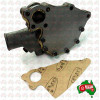 Water Pump Assembly with gasket