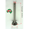 Exhaust Valve for Zetor & for Ursus