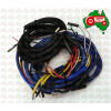 Wiring Loom Fordson Major