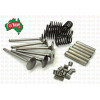 Valve Train Kit for Massey Ferguson, Landini & Perkins