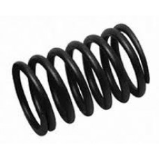 Valve Spring (Outer Spring Only Required)