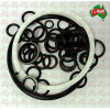 Hydraulic System O'Ring & Seal Kit  105mm Ram