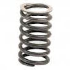 Valve Spring