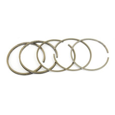 Ring Set (1 Cylinder)