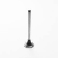 Exhaust Valve