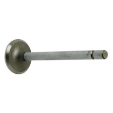 Inlet Valve