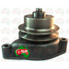 Water Pump Fits for Massey Ferguson 30 130 French Perkins 107 108 Engine