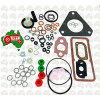 Injector Pump Seal Kit DPA CAV 