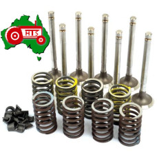 Valve Train Kit (Standard Valves)